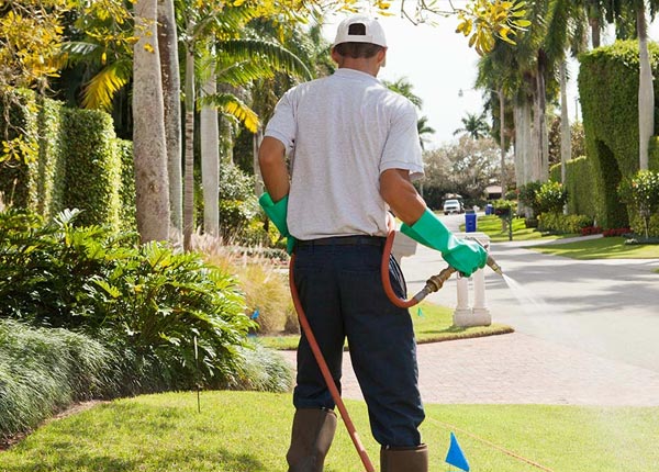 About Stevens Point WI Pest Control